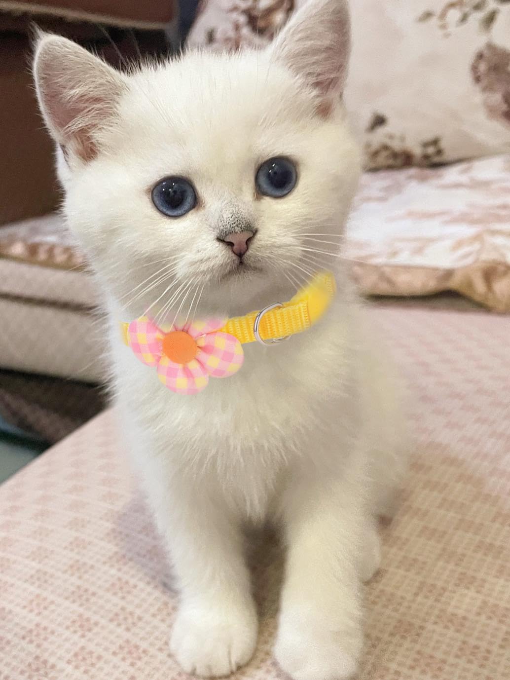 16 Pcs Cute Cat Collars Breakaway With Bell For Boy Cats And Girl Cats Gifts (#5-Multicolor Plaid)