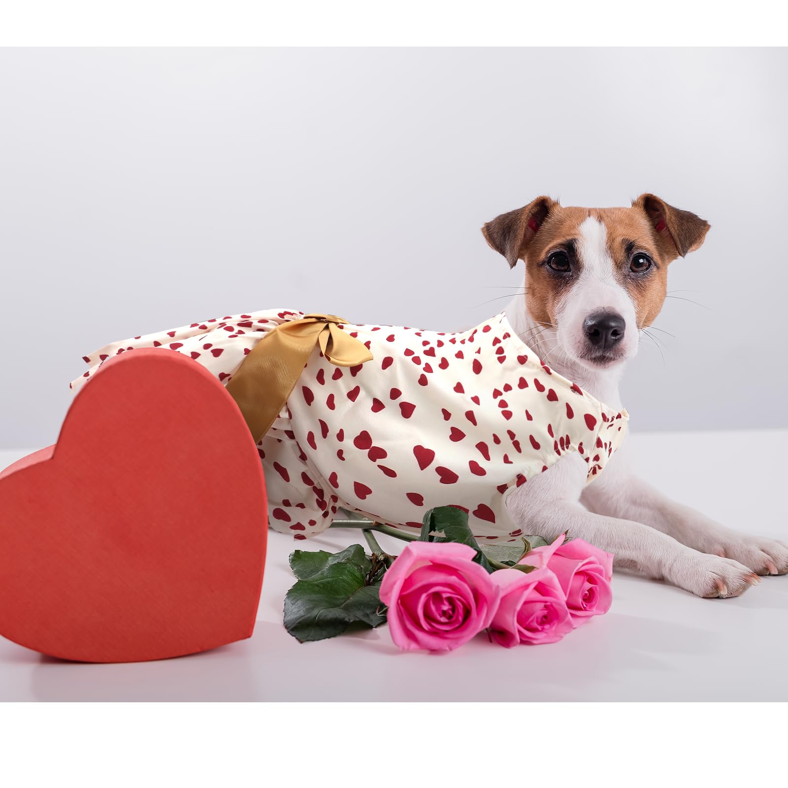 Dog Costume Dress L, Cream White With Red Heart Print Golden Bow, Glitter Heart Pet Outfit For 11-13 Lbs Dogs And Cats, Romantic