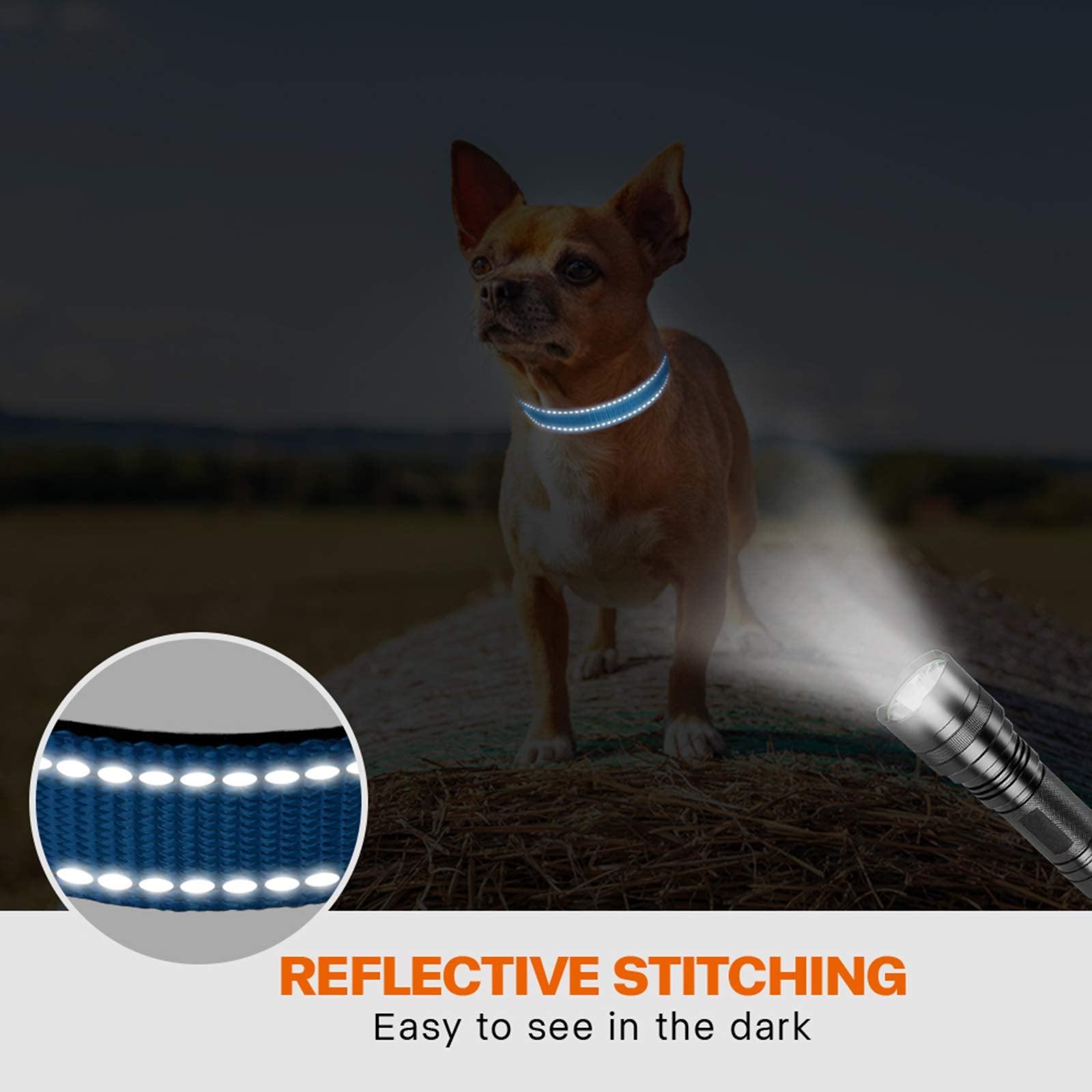 Taglory Reflective Dog Collar With Safety Locking Buckle, Adjustable Nylon Pet Collars For Puppy Dogs, Xs, Sky Blue