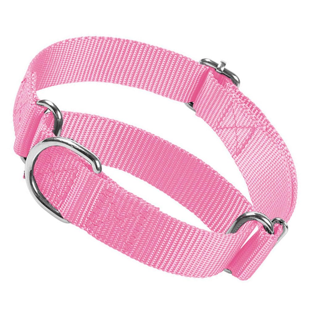 Martingale Collar For Dogs, Escape Proof Dog Choke Collar No Pull Cinch Dog Training Collars Adjustable For Small Medium Large B