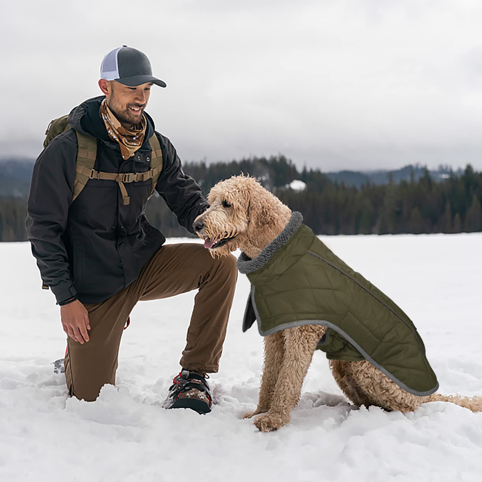 Fragralley Winter Coat - Windproof, Adjustable Dog Jacket, Waterproof, Turtleneck Clothes Doggie Cold Weather Vest Fleece (Armyg