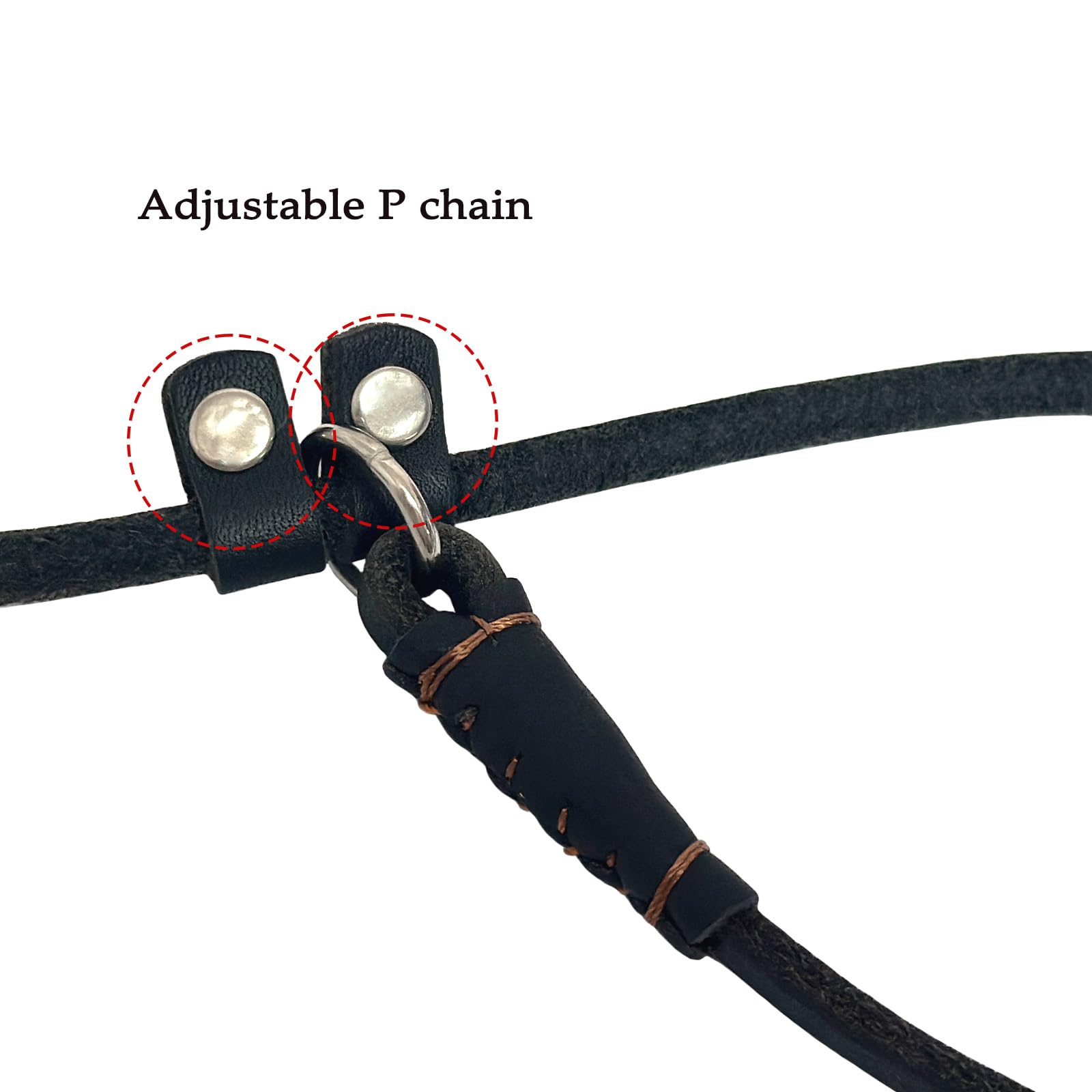 Guiding Star Leather Slip Leads For Dogs Leather Slip Leash For Small Dogs Leather Dog Leash Training Leash For Puppy Small Medi