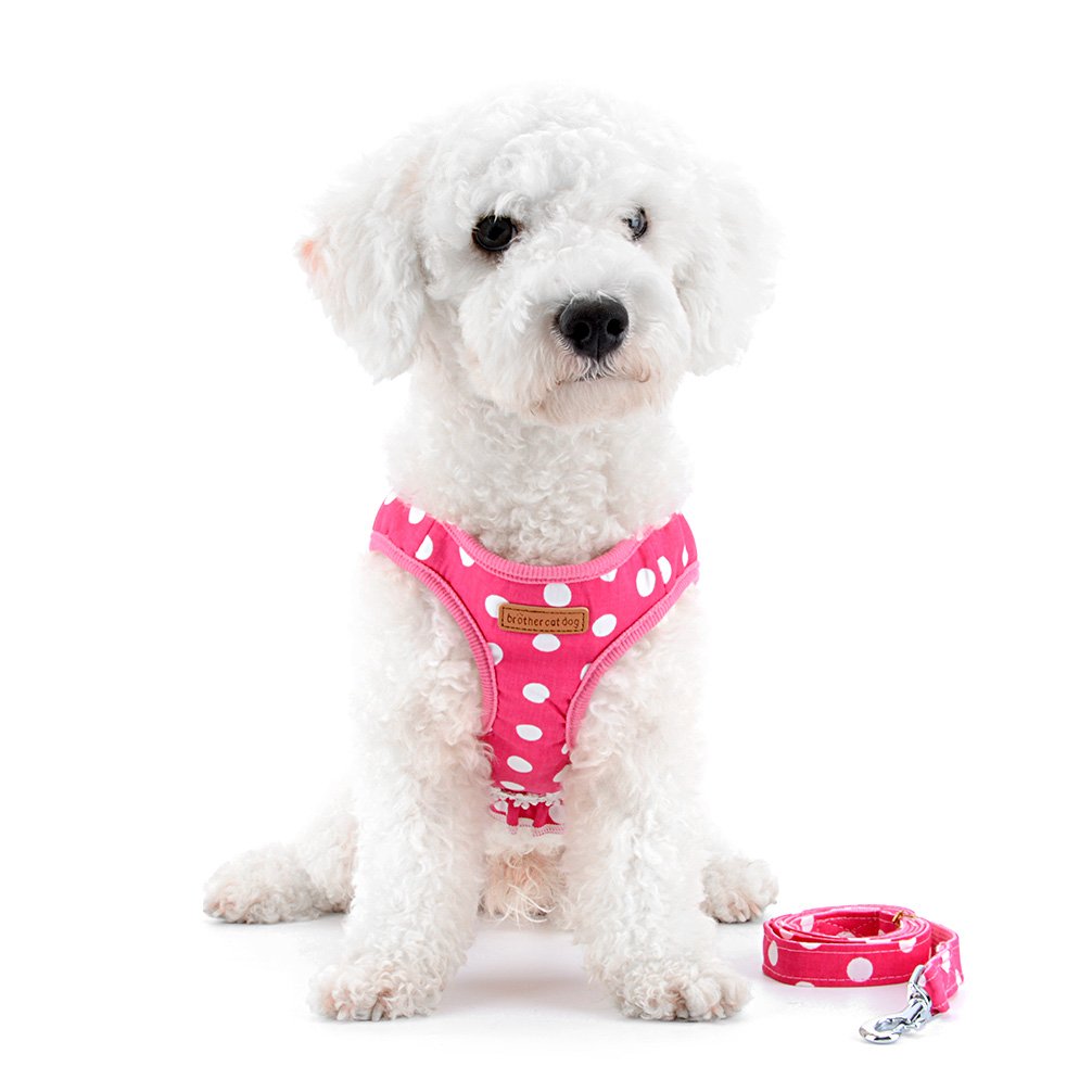 SMALLLEE_LUCKY_STORE No Pull Polka Dot Small Dog Puppy Cat Harness with Crown, Soft Mesh Padded Vest Harness and Leash Set for G