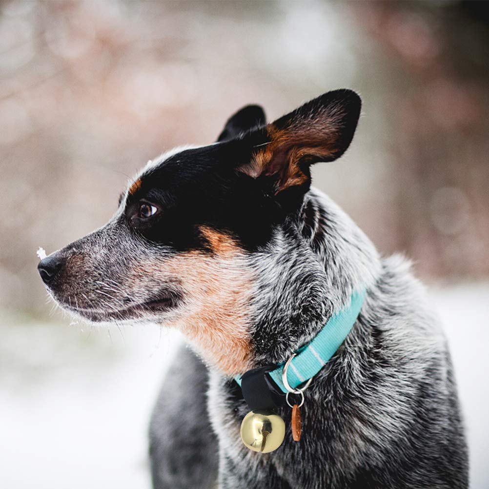 Scenereal Large Dog Collar Bell For Training, Hiking, Walking, Hunting, Pet Tracker, 2 Pack 1.5' Extra Loud Pet Bell For Save Wildlife And Birds (Bear Bell, Cow Bell) Gold | Silver