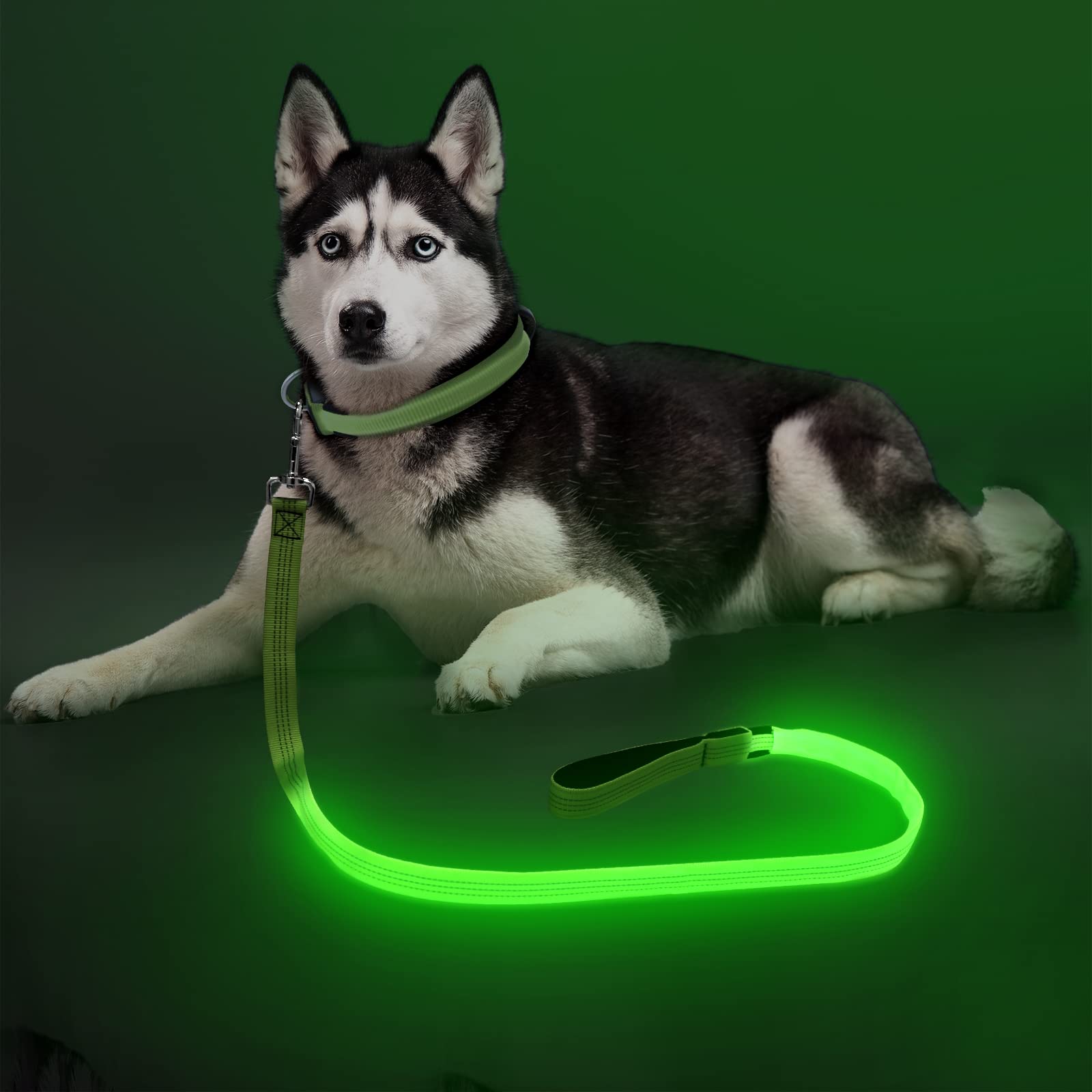 Colaseeme Light Up Dog Leash, 4FT LED Pet Leashes Micro USB Rechargeable, Nylon Glow Safety Dogs Lights at Night (Green & Reflec