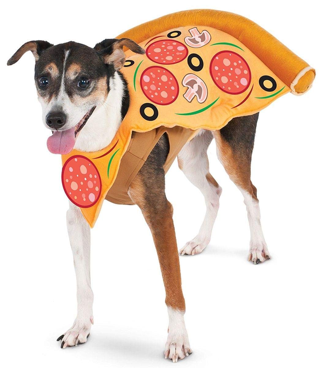 Rubies Pizza Slice Pet Costume for Dogs or Cats, Small