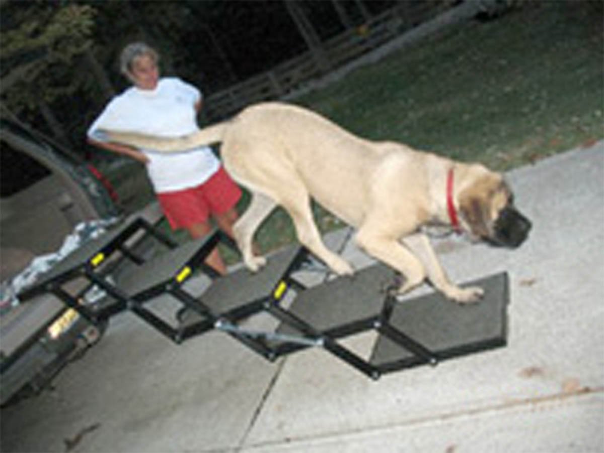 Pet Loader® Xl 18' Platform, Usa Abs, 5-Step Portable Folding Dog Steps, Made In Usa Carpeted, Great For Giant Breeds, All Dogs. Add Or Remove Steps, Safely Carries 300 Pound Pets, Lasts A Lifetime