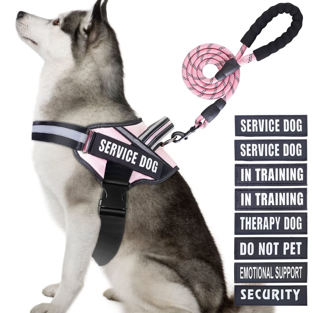 Service Dog Vest Harness And Leash Set, Animire In Training Dog Harness With 8 Dog Patches, Reflective Dog Leash With Soft Padded Handle For Small, Medium, Large, And Extra-Large Dogs