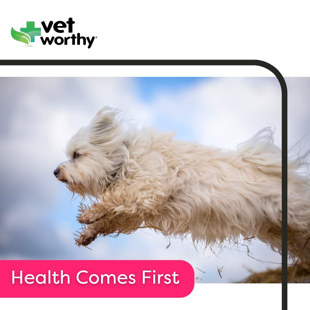 Vet Worthy Kennel Cough Drops for Dogs - Dog Supplement for Dry Kennel Cough Relief - Dog Cough Remedy with Drosera Rotundifolia