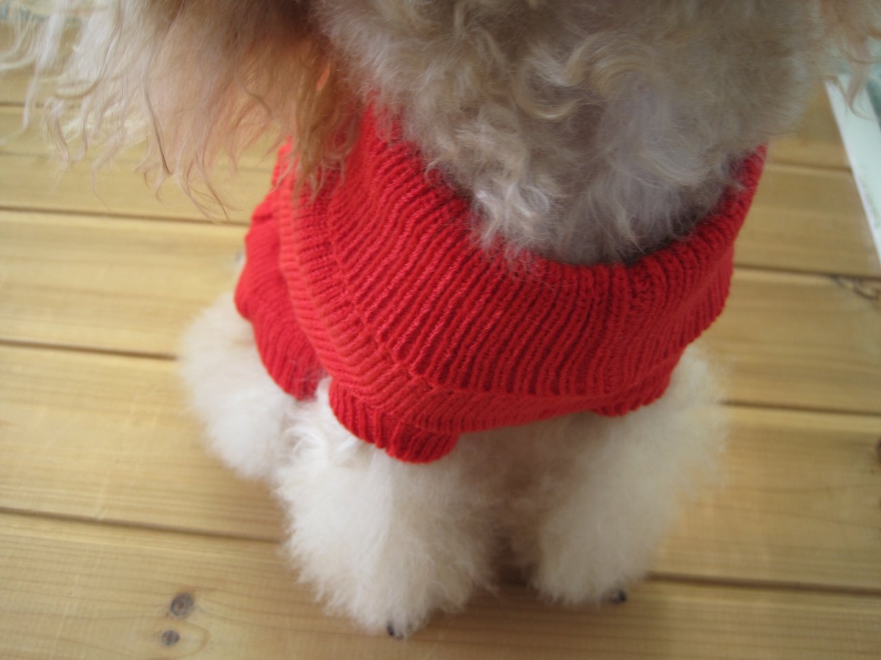 FAMI Dog Clothes Dogs Sweater Soft Puppies Clothing Winter Puppy Sweaters Warm Outfit for Dogs Small XS S Cat Apparel(Red,Medium