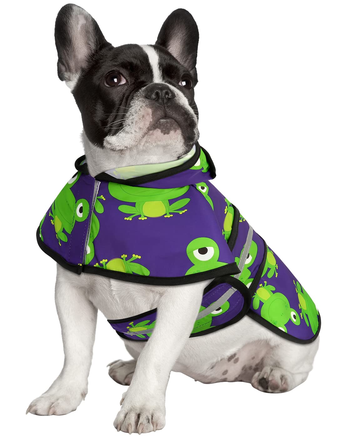 Hde Dog Raincoat Hooded Slicker Poncho For Small To X-Large Dogs And Puppies Frogs - M
