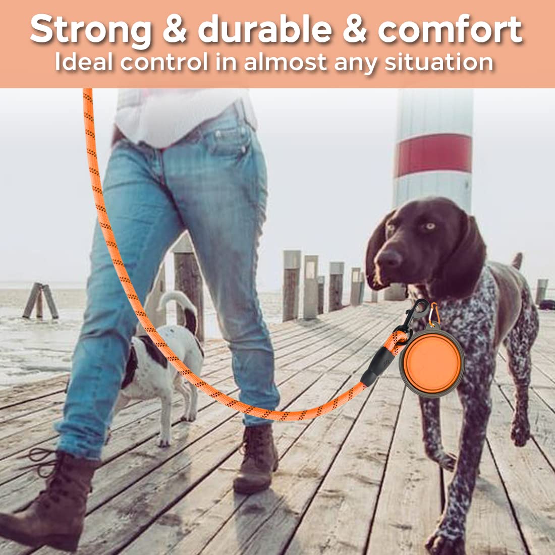 Cooyoo 2 Pack Dog Leash 6 Ft Heavy Duty - Comfortable Padded Handle - Reflective Dog Leash For Medium Large Dogs With Collapsibl