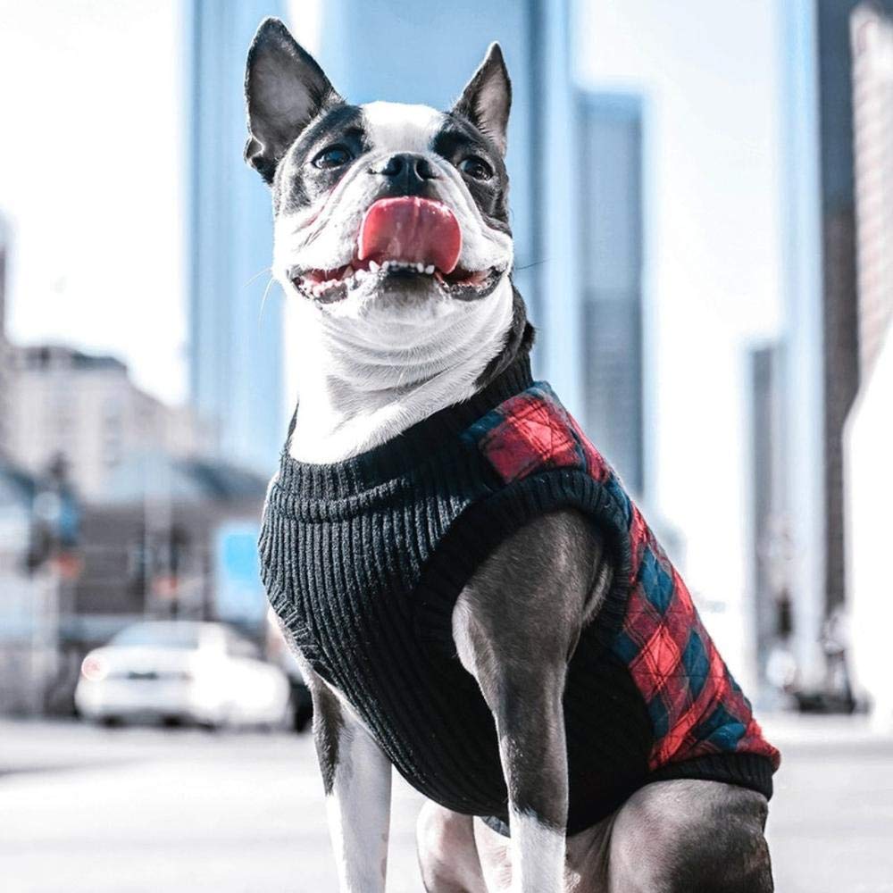 Gooby Fashion Vest Check Dog Jacket - Green Check, Small - Warm Zip Up Dog Bomber Vest With Dual D Ring Leash - Winter Water Resistant Small Dog Sweater - Dog Clothes For Small Dogs Boy Or Medium Dogs