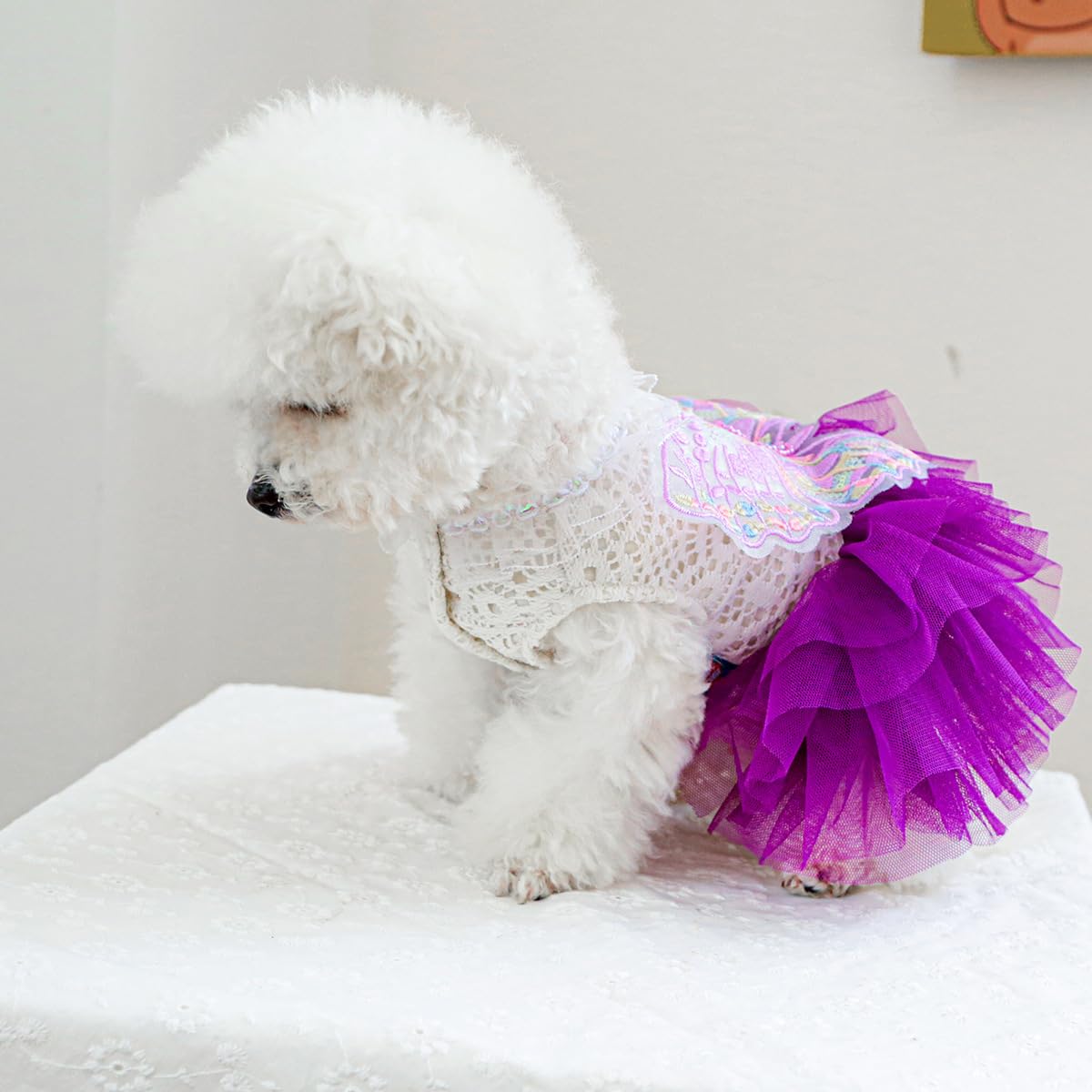 Marupet Fashion Sweet Puppy Dog Blingbling Princess Skirt Pet Dog Lace Cake Camisole Tutu Dress B-Purple S