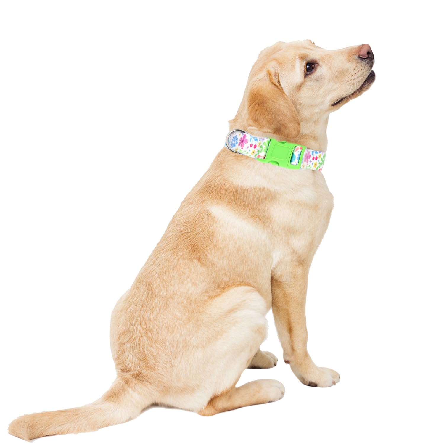 Female Dog Collar For Large Dogs With Flowers For Girl Dogs, Soft Nylon Adjustable Cute Dog Collars(Flowers L)