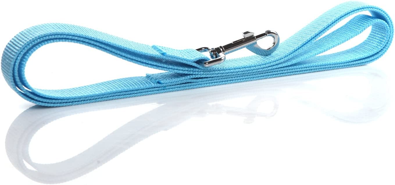 Nylon Dog Leash 8 Feet Long, Walking Training Dog Leashes For Medium Large Dogs(1'' X 8 Ft, Blue)