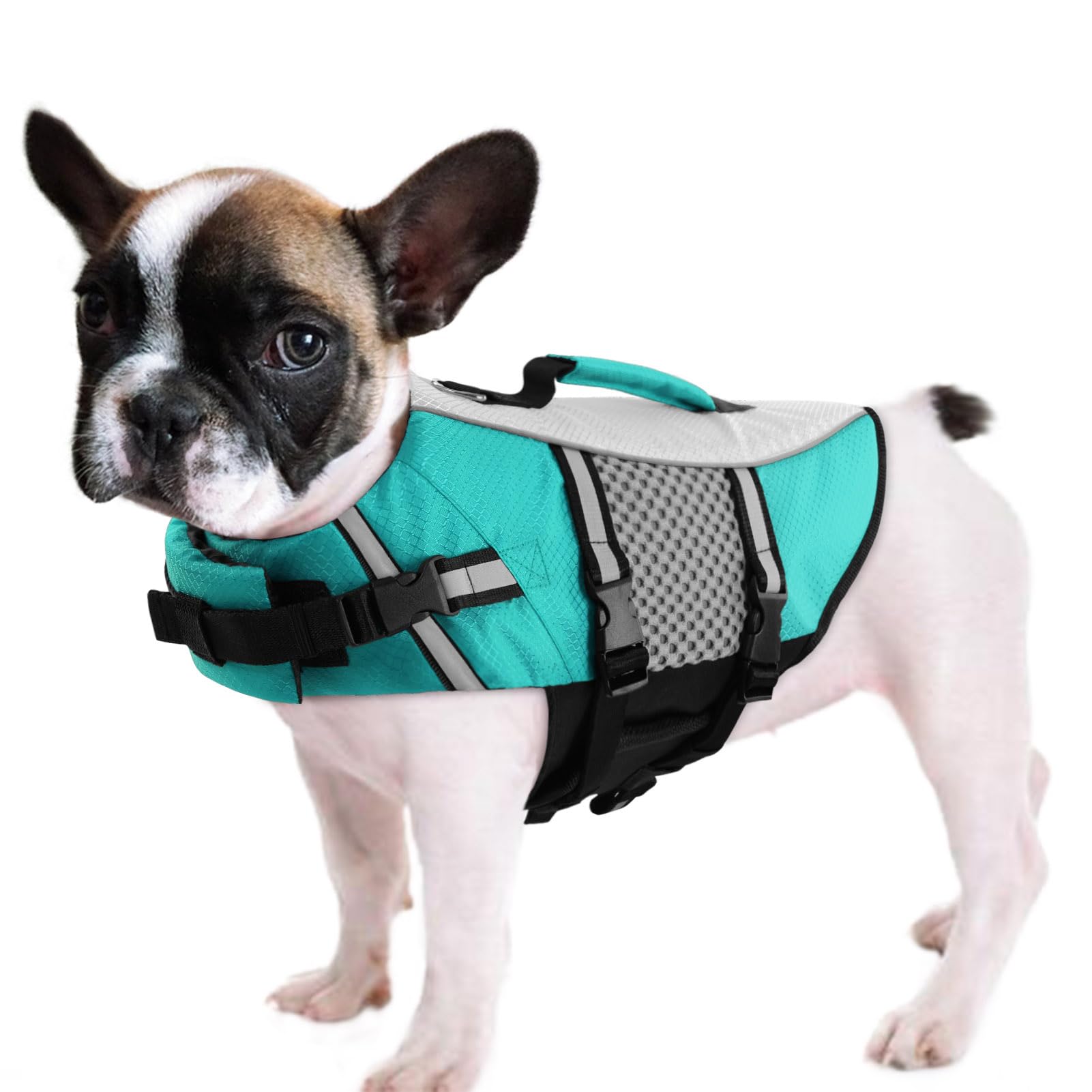Queenmore Dog Life Jacket Swimming Vest Small Medium Dogs Neoprene Boating Life Preserver Lightweight Reflective Cat Puppy Kayak