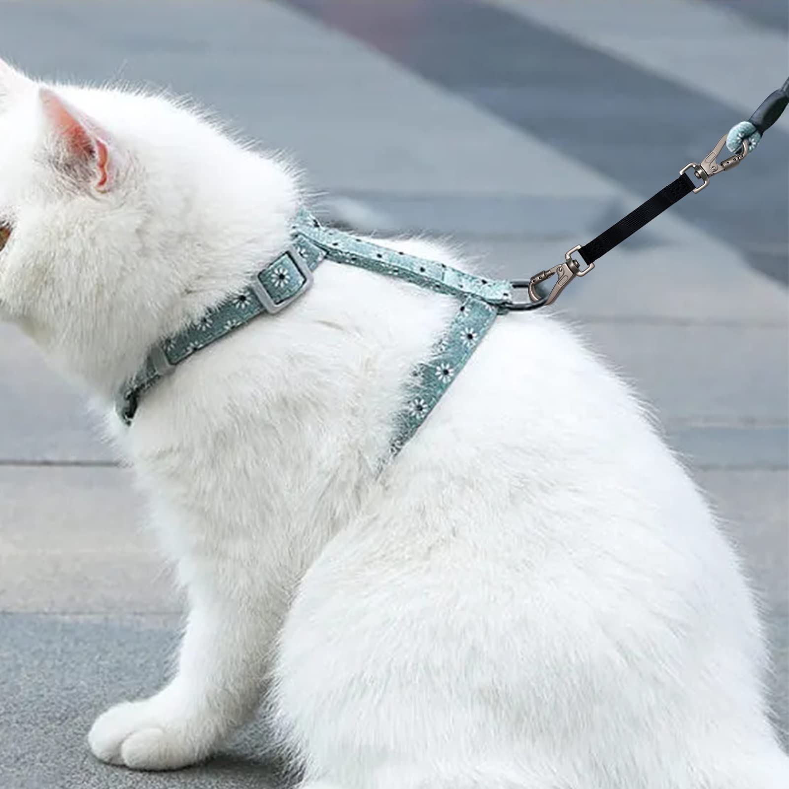 Heavy Duty Double Ended Collar Backup Clip For Dog Harnesses, Lockable Safety Clip For Prong Collar With Gentle Nylon Webbing