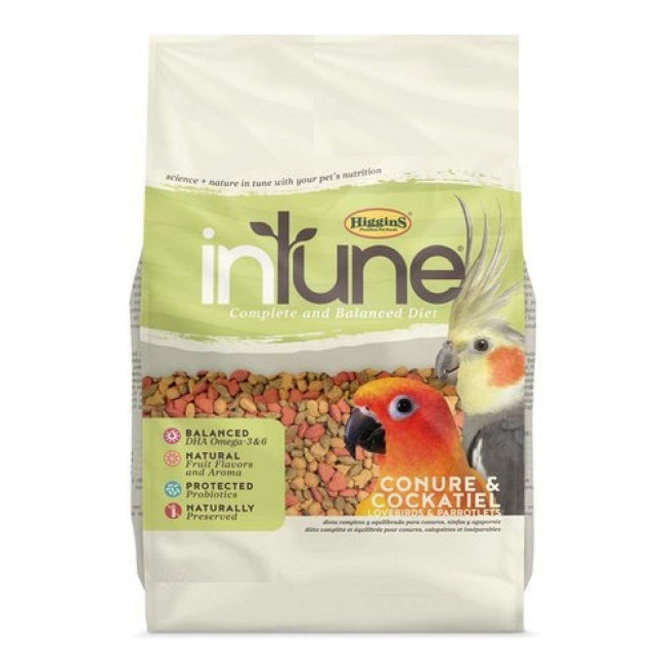 Higgins 466250 Hig Intune Conure Tiel 2Lb, Large