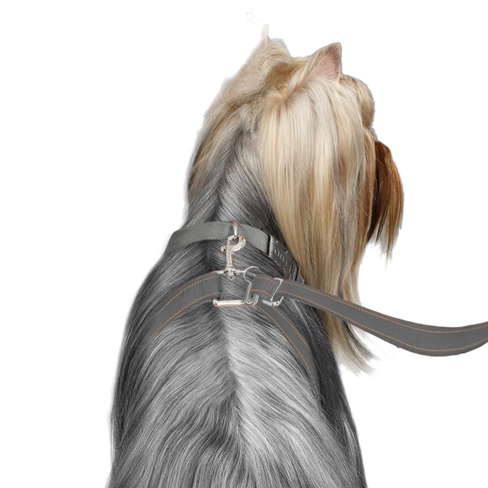 Thunderleash No-Pull Dog Leash (Small (12 To 25 Lbs), Grey)