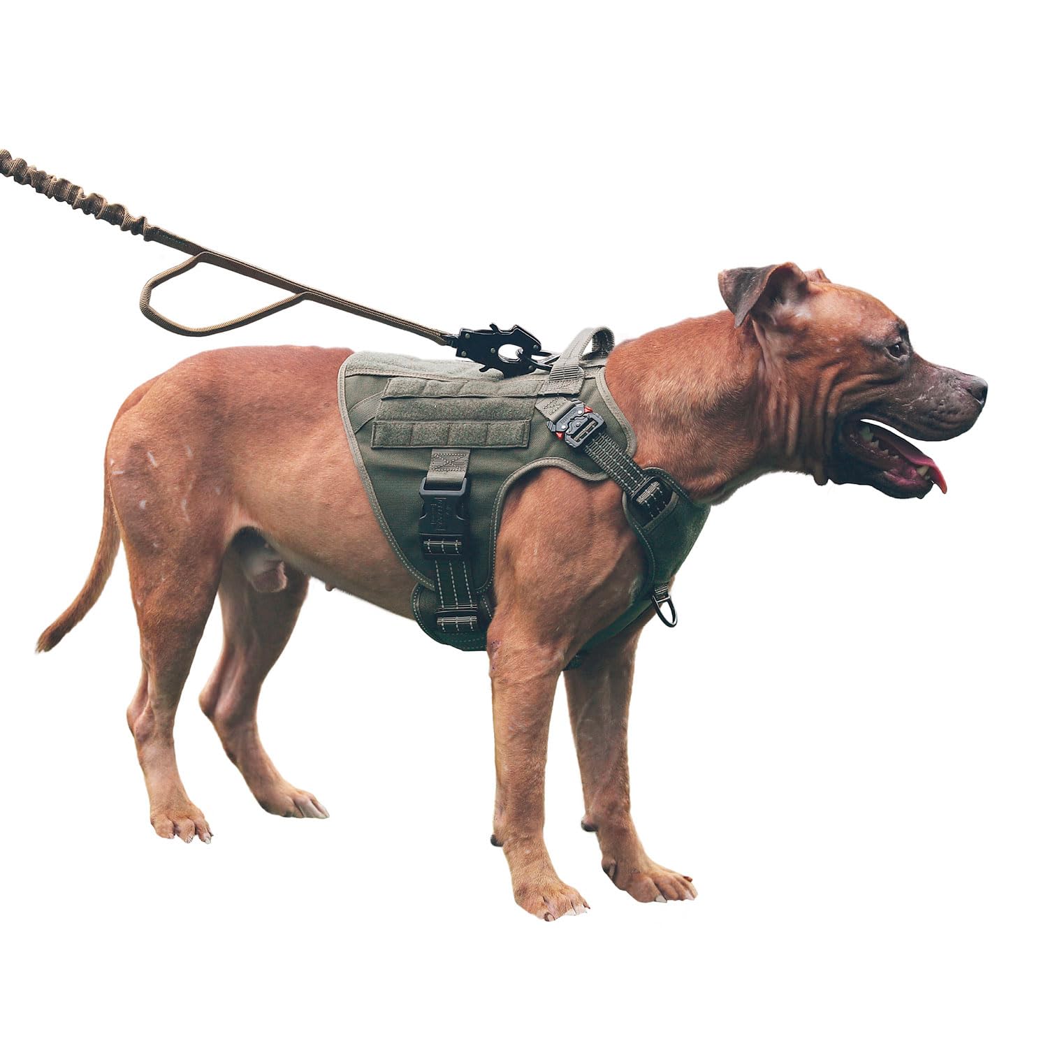 Icefang Gn1 Reflective Tactical Dog Harness Medium Sized, Molle K9 Dog Vest With 2X Metal Buckles,Adjustable Pet Harness, No Pul