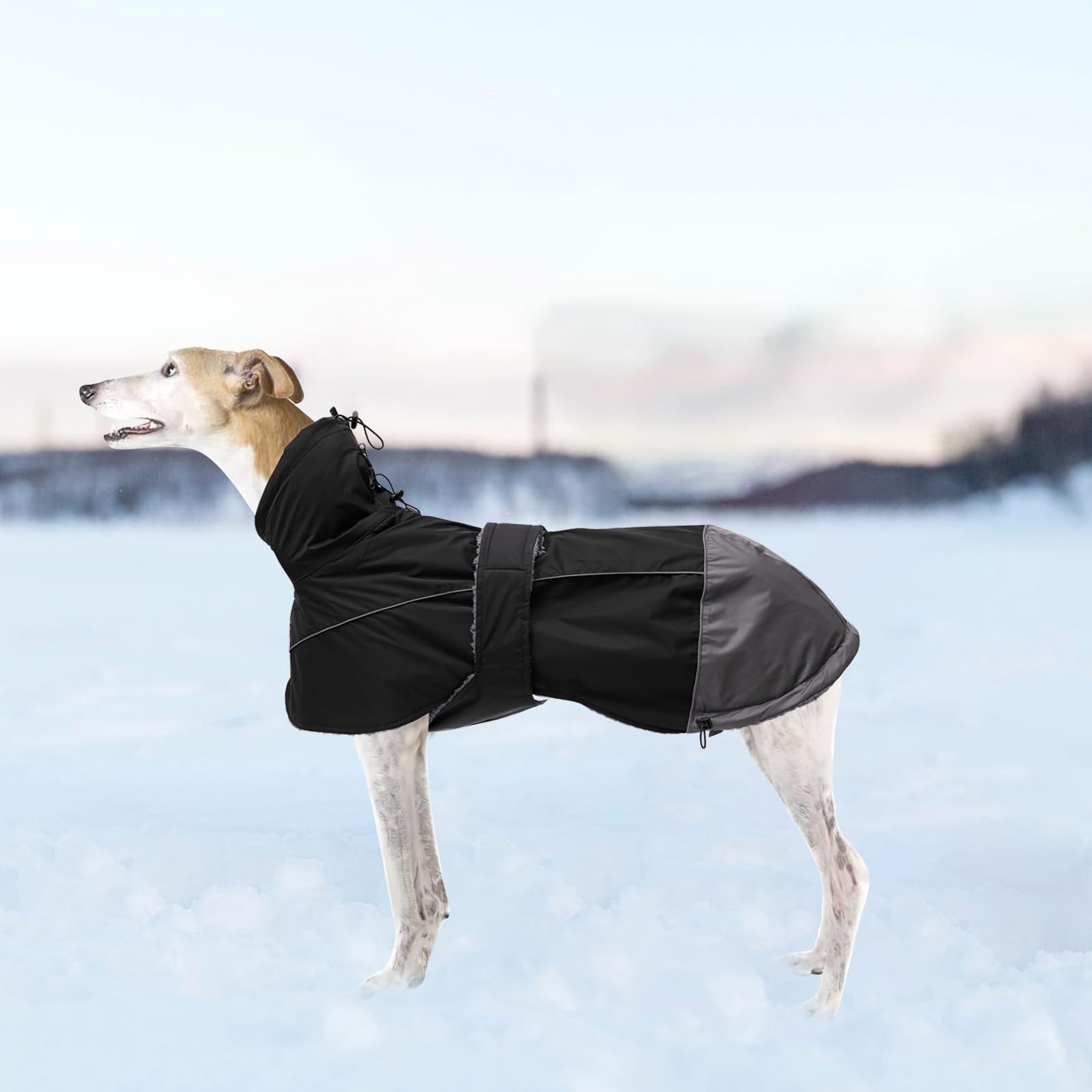 Greyhound Lurcher Winter Coat, Whippet Jacket With Padded Fleece, Water Resistant Dog Snowsuit With Adjustable Bands And High Re