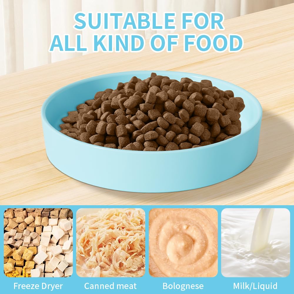 Ceramic Slow Feeder for Dogs & Cats, Dog Slow Bowl and Puzzle Feeder Cat Bowl to Slow Down Eating Dogs, Interactive Treats and W