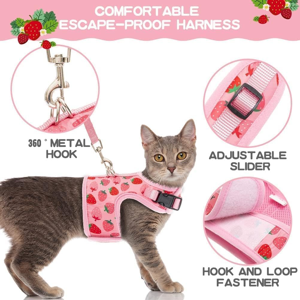 Bingpet Cat Harness With Leash Escape Proof - Fashionable Mesh Cat Dog Walking Harness Leads, Adjustable For Kitties Puppies Small Animals