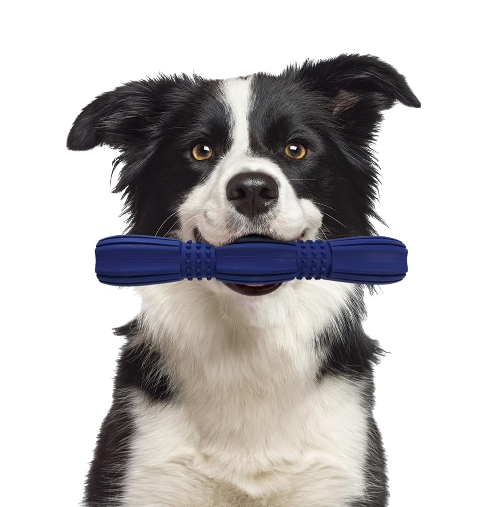 Spot Barrett Tough Retriever Stick For Medium & Large Dogs - Virtually Indestructible Solid Rubber Dog Toy For Aggressive Chewer