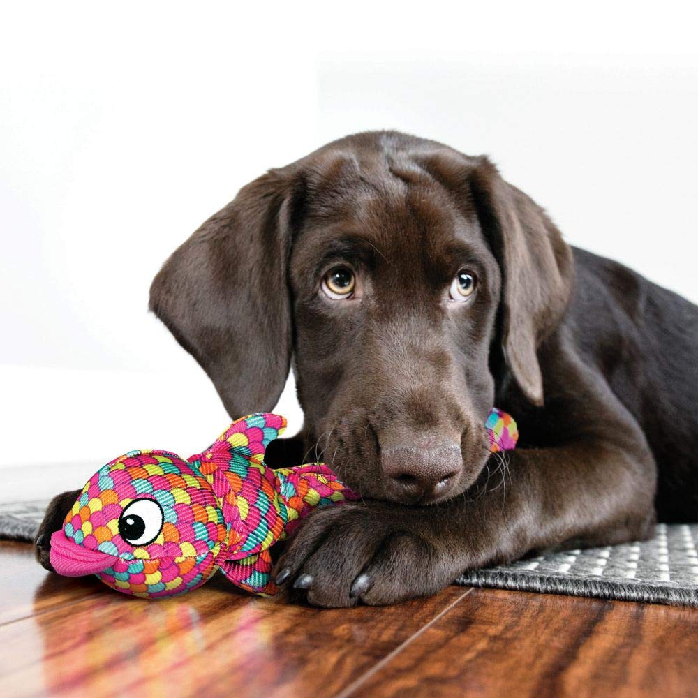 Kong Wubba Finz - Dog Toy For Tug Of War & Fetch - Dog Supplies For Puppy & Dog Playtime - Outdoor & Indoor Dog Toy (Pink, Large)