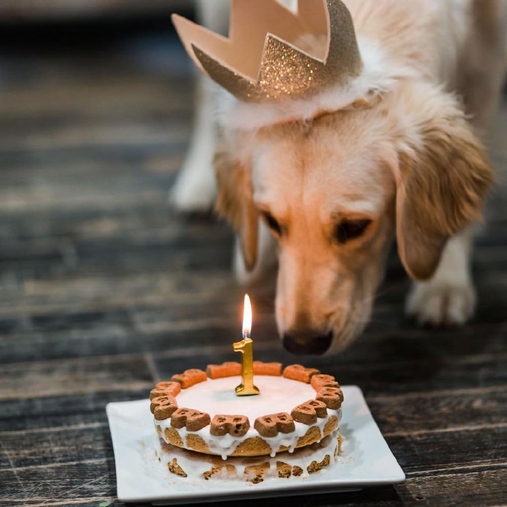 Puppy Cake Pumpkin Cake Mix and Frosting (Wheat-free) for Dogs-9 oz