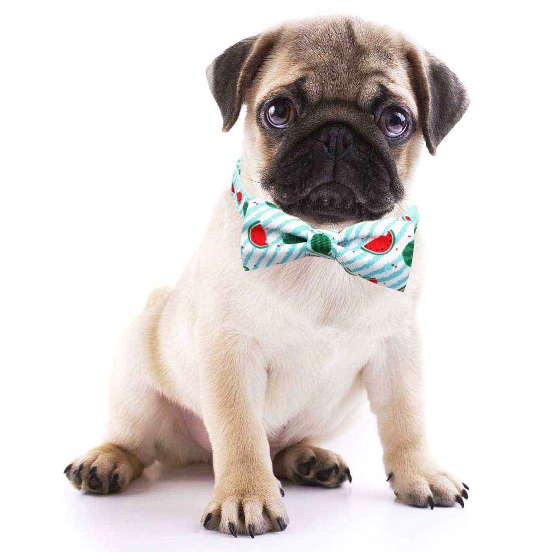 Azuza Bowtie Dog Collar, Stylish And Comfy Watermelon Dog Collar With Bow Tie For Small Dogs