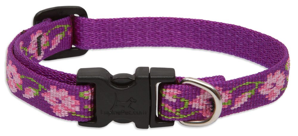 Lupinepet Originals 1/2' Rose Garden 10-16' Adjustable Collar For Small Dogs
