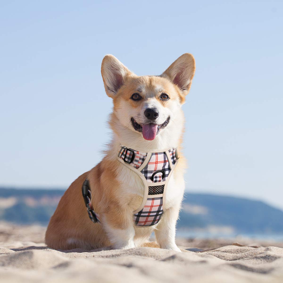 Poypet Plaid Dog Harness, No Pull Front Clip Pet Vest Harness, Soft Padded Reflective Adjustable Walking Harness With Handle For