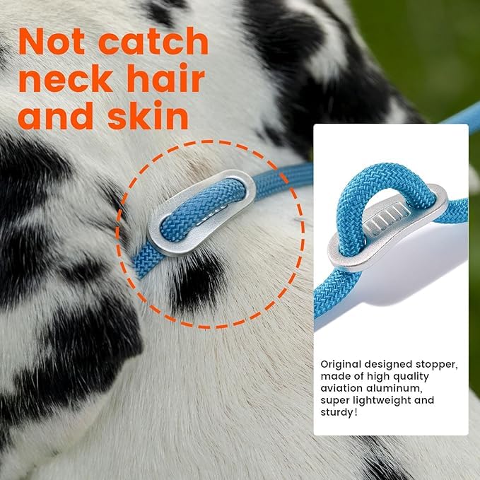 Howgo Double Slip Leash Slip Lead | Dual Dog Lead For 2 Dogs,360 Swivel No Tangle | Dog Training Nylon Leash And Collar | Double