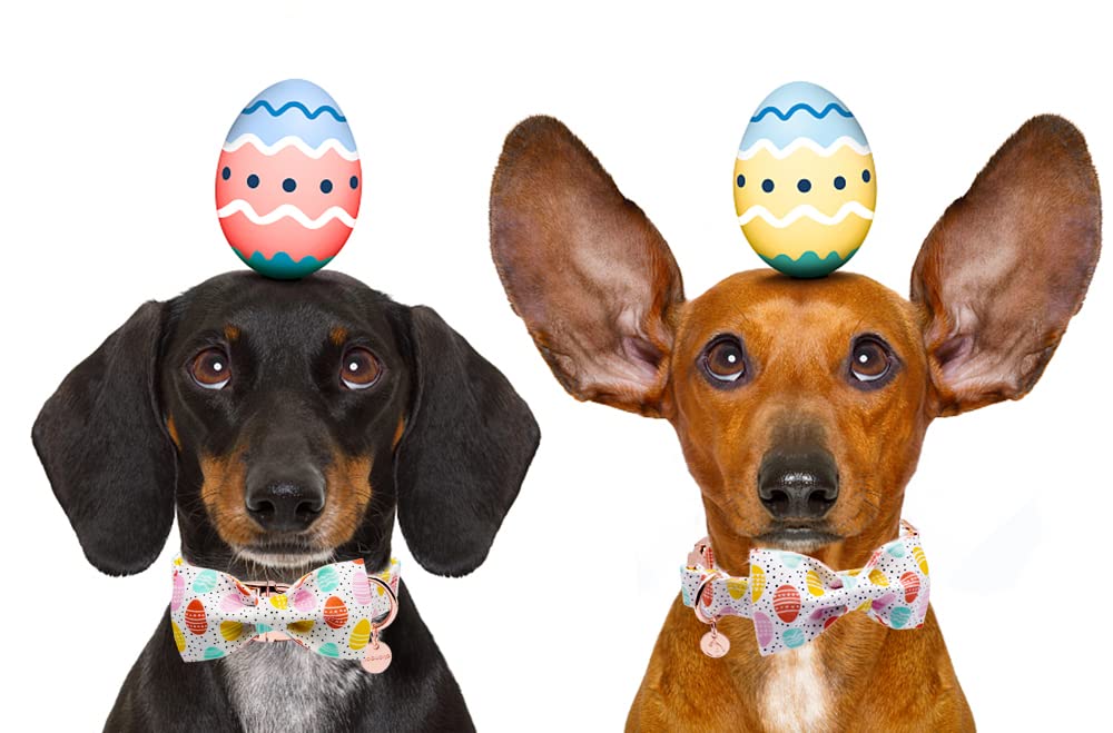 Dogwong Easter Dog Collar With Bowtie, Easter Egg Holiday Dog Collar Comfortable Durable Dog Collars For Small Medium Large Dogs