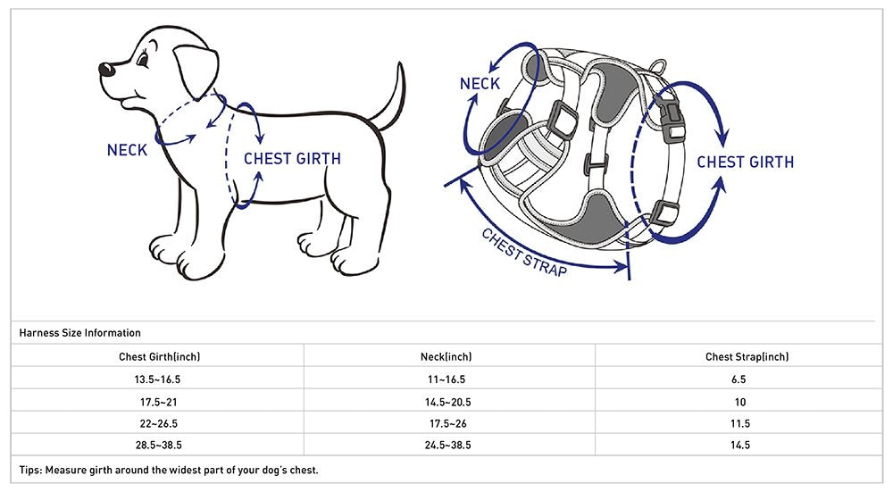Blueberry Pet Soft & Comfy 3M Reflective Dog Harness Vest | Mesh Padded No Pull Dog Harness W/Front/Back Clips | Multi-Colored Stripe - Violet And River Blue | Reflective Dog Harness For Large Dogs