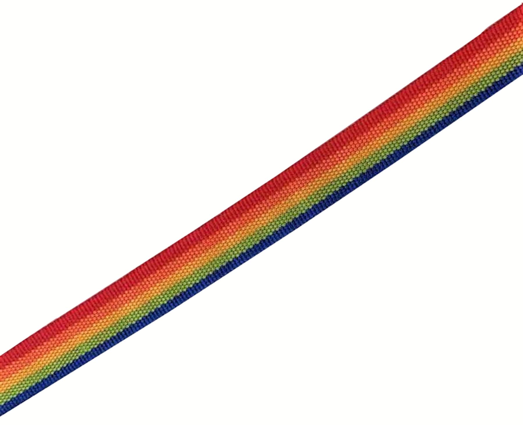 Taian 4Ft/5Ft/6Ft Strong Dog Leash, Nylon Dog Leashes For Small Medium Large Dogs (3/4 In X 5 Ft, Rainbow)