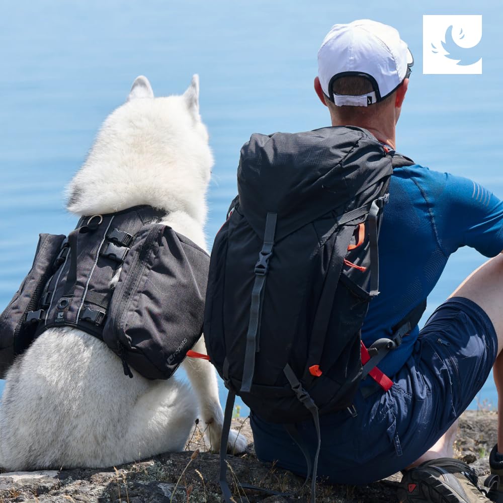 Rc Pet Products Quest Day Pack, Dog Backpack, Heather Teal, Medium