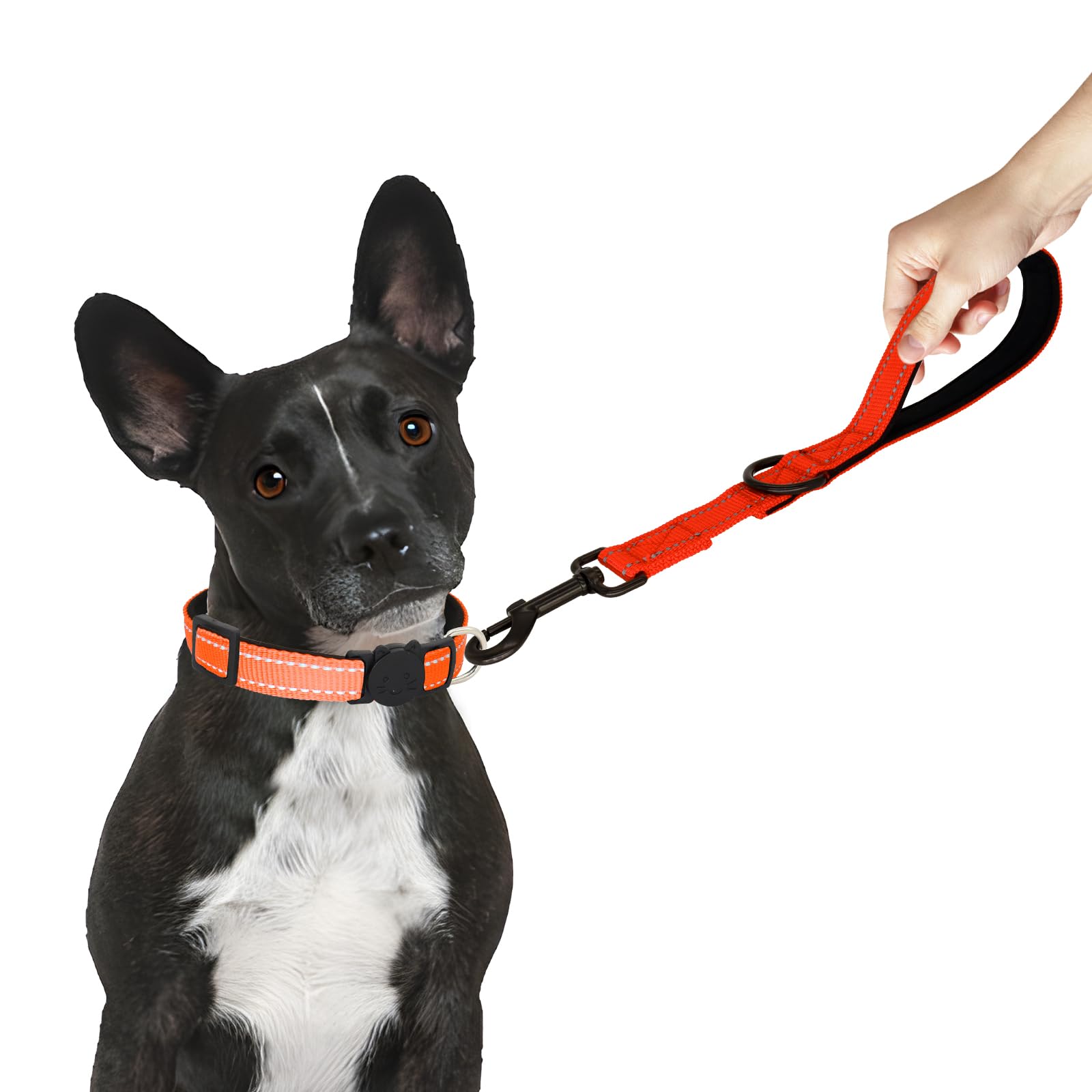 Giecooh Short Dog Leash, Reflective Traffic Leash With Padded Handle, 2 Ft Nylon Training Leashes For Small Meidum Large Dogs, O