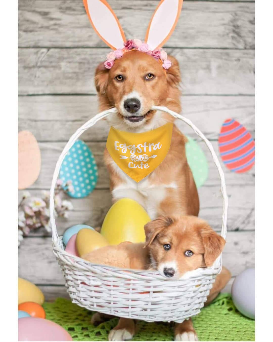 Dog Easter Bandana,Pack Of 2 Easter Bandana For Dogs