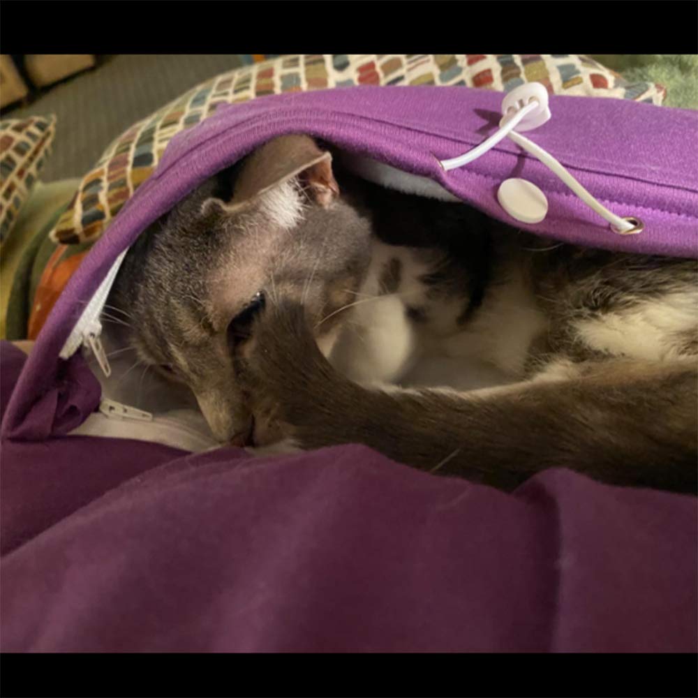 Unisex Big Pouch Hoodie Long Sleeve Pet Dog Holder Carrier Sweatshirt (Violet, Xl)