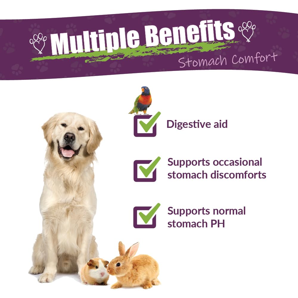AMBER NATURALZ ProTummy Herbal Supplement for Dogs & Small Pets | 4 oz Glass Bottle | Stomach Comfort Blend