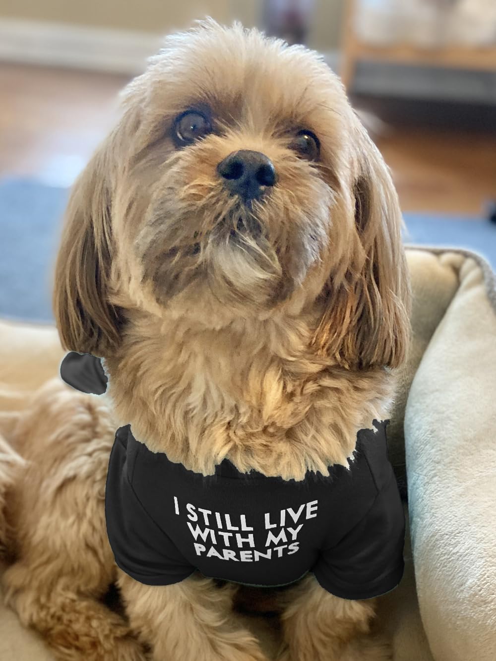 Dog T Shirt For Medium Dogs.Cute Dog Clothes For Small Dogs Girl Boy,Puppy.Breathable Soft Dog Costume Cats, Pet Pullover Jumper