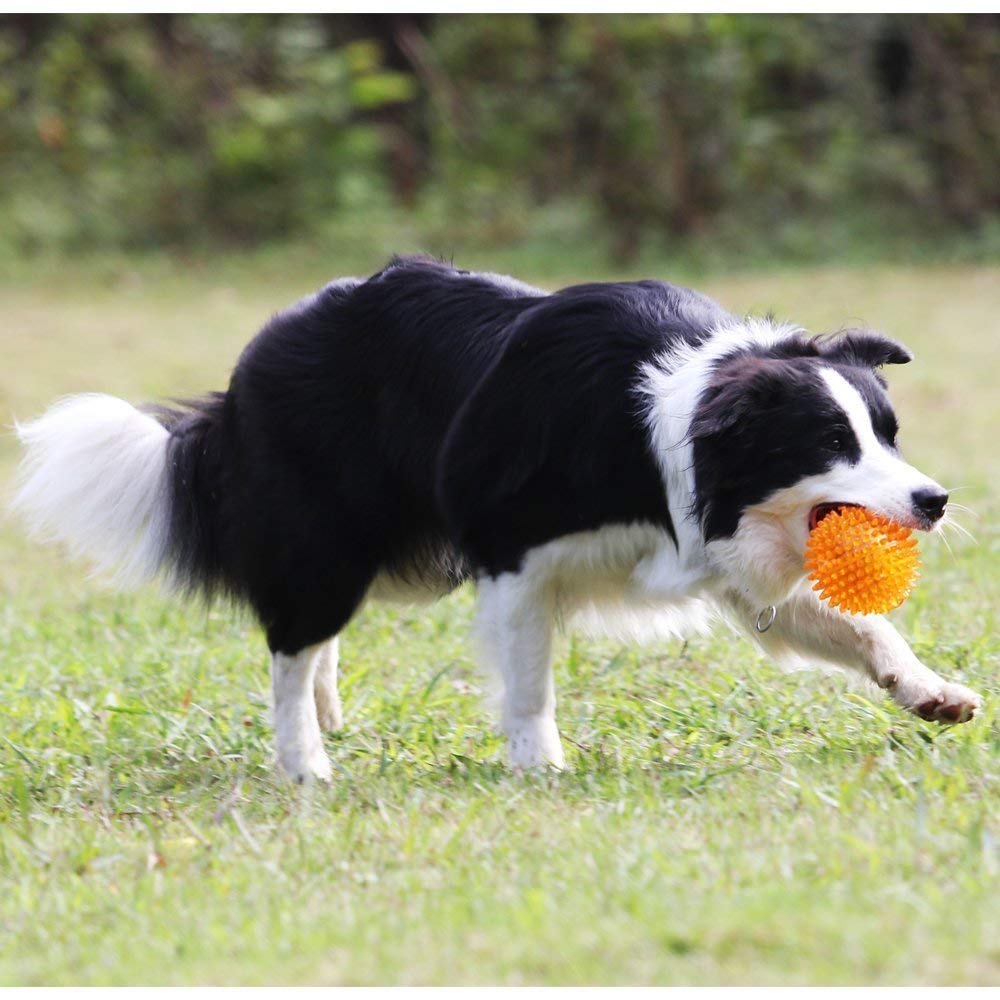 Pets Empire Dog Squeaker Squeaky Toy Play Ball with High Bounce for Small Medium Large Aggressive Chewers (Color May Vary)