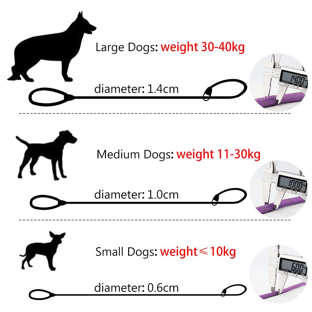 Grand Line Slip Lead Dog Leash, 5Ft Reflective Slip Rope, Puppy Training Walking Controlling Lead, Slip Collar Pet Leash For Small, Medium, Large Dogs (Purple, Medium-2/5In X 5Ft)