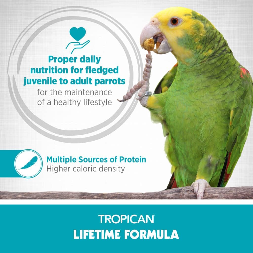 HARI Tropican Bird Food, Hagen Parrot Food with Peanuts & Sunflower Seeds, Maintenance Parrot Granules 2 mm, Lifetime Formula, 1