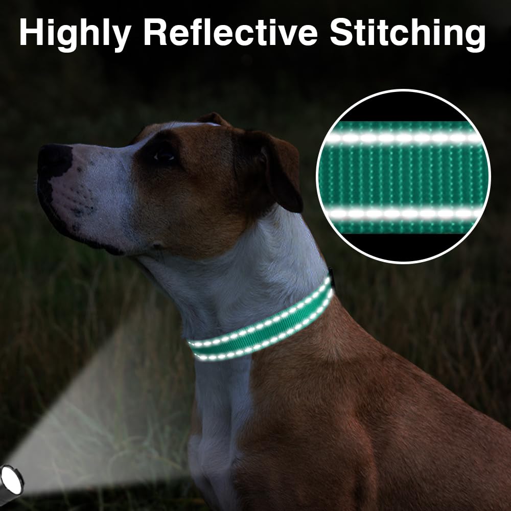 Taglory Reflective Adjustable Dog Collars For Puppy Small Medium Large Dogs, Thin Nylon Webbing And Quick Release Plastic Buckle(Teal Green,X-Large)