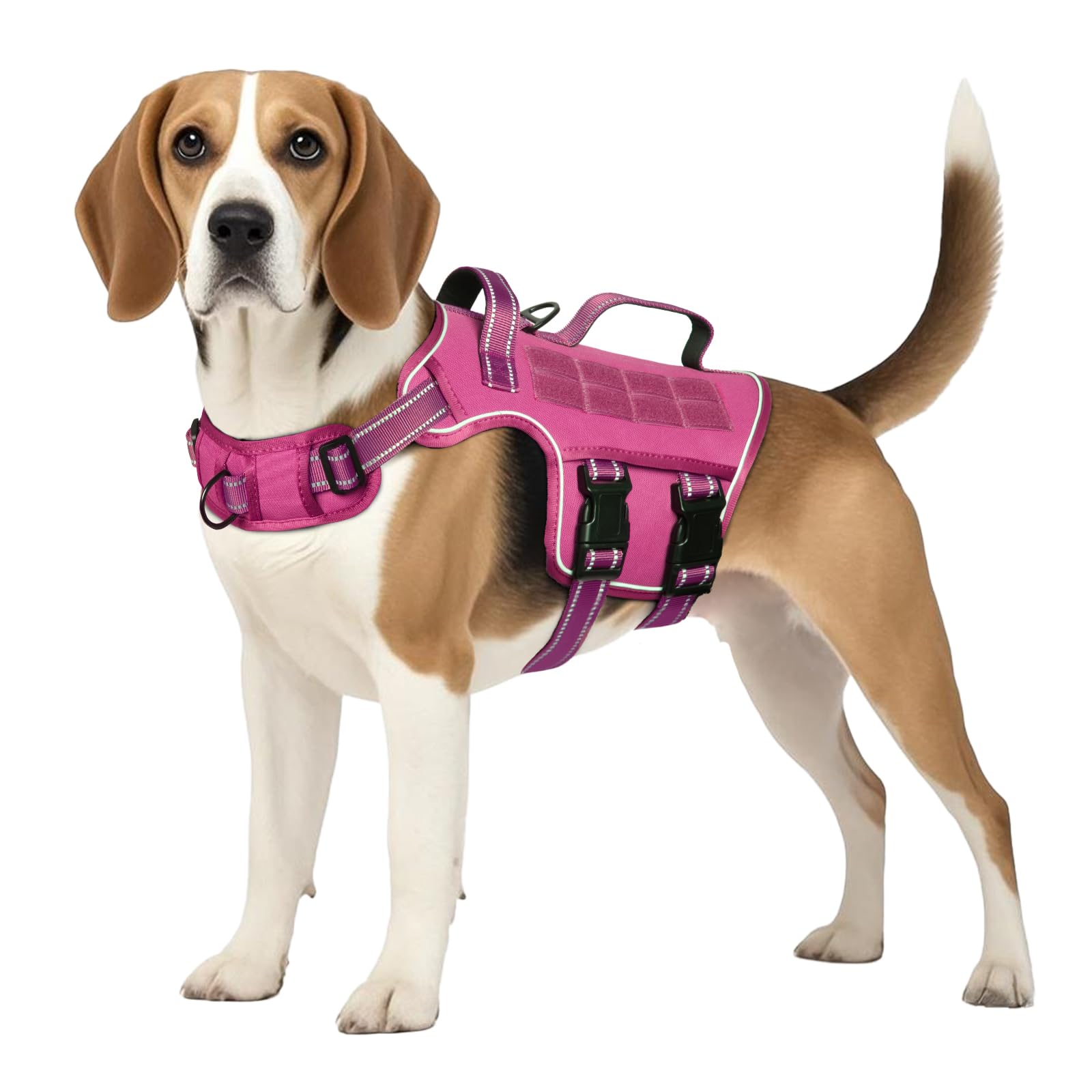 Tactical Dog Harness Medium Sized, Heavy Duty No Pull Dog Harness with Handle, Easy On and Off Service Dog Vest with Molle Syste