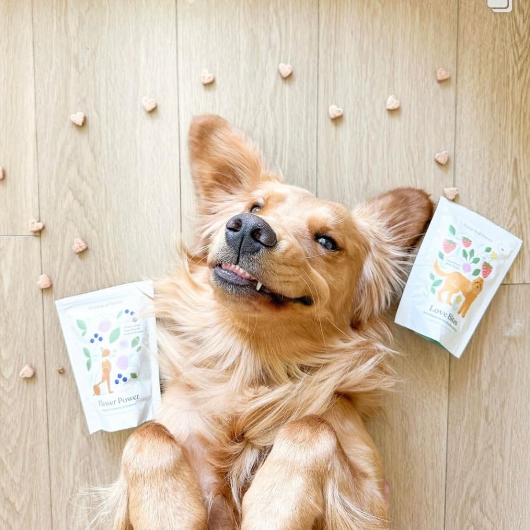 BOTANICAL BONES Love Bites Organic Training Treats for Dogs, Wheat-Free, Vegan Dog Treats, Clean Ingredients, Baked in The USA,